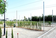 Parcelas camping (autocaravana, caravana o tienda)